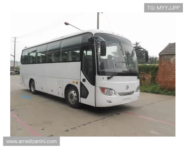 亚星6905型说明书详细解读与操作指南，帮助用户快速掌握设备使用技巧